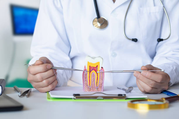 Best Orthodontic Emergency Dentist in USA